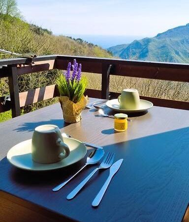 Bee Freeride Bikers House Διαμέρισμα Magliolo Εξωτερικό φωτογραφία